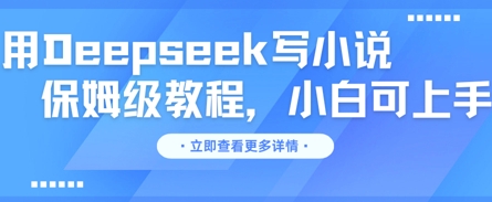用Deepseek写小说，保姆级教程，小白可实操-小何资源库