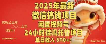 2025年最新微信搞钱项目，闲置视频号年24小时挂G托管项目，单日收入多张-小何资源库