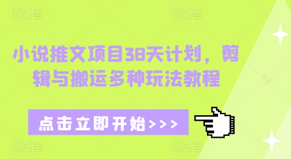 小说推文项目38天计划，剪辑与搬运多种玩法教程-小何资源库