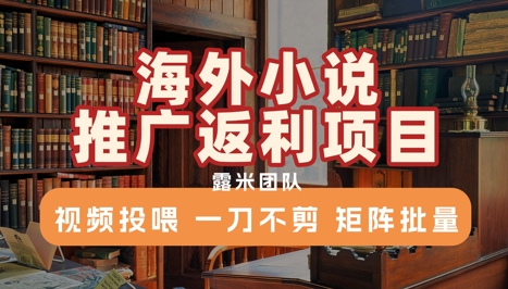 海外小说推广返利项目，视频投喂， 一刀不剪，矩阵批量-小何资源库
