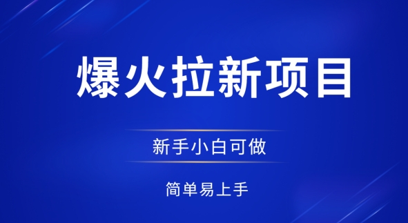 爆火拉新项目，有手就行，小白轻松入门，日入1张拉新整套流程-小何资源库