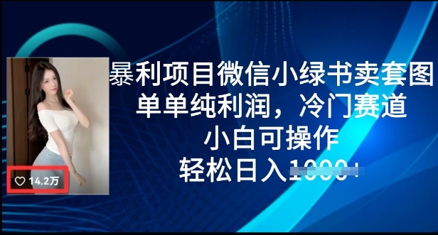 暴利项目微信小绿书卖套图，单单纯利润，冷门赛道， 小白可操作，轻松日入多张-小何资源库