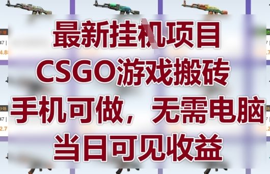 最新挂G项目，CSGO游戏搬砖，手机可做，无需电脑，当日见收益【揭秘】-小何资源库