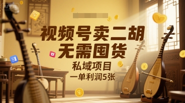 视频号卖二胡，无需囤货，私域项目，一单利润5张-小何资源库