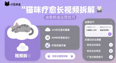 猫咪疗愈长视频拆解 &油管频道运营技巧-小何资源库