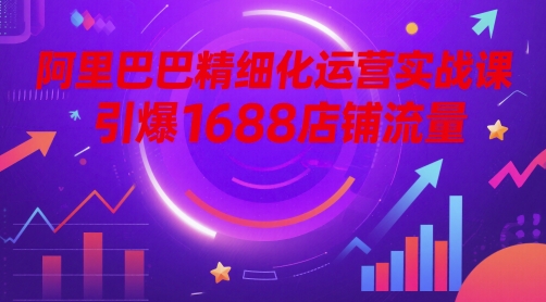 阿里巴巴精细化运营实战课，引爆1688店铺流量-小何资源库
