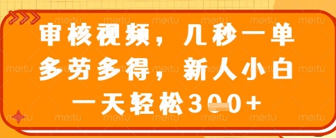 审核视频，几秒一单，多劳多得，新人小白一天轻松3张【揭秘】-小何资源库