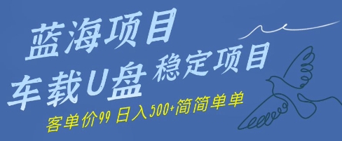 蓝海项目车载U盘稳定项目，挣的就是信息差，客单价99，日入几张简简单单-小何资源库