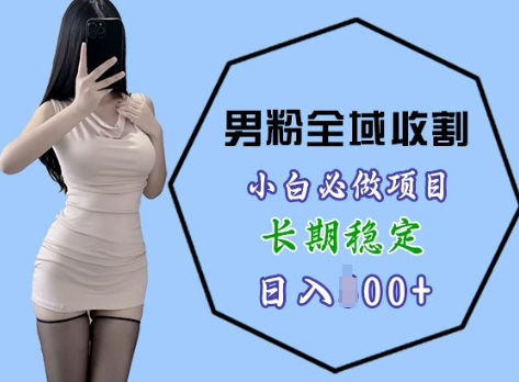 男粉项目全域收割，小白必做项目，长期稳定，稳定日入几张-小何资源库