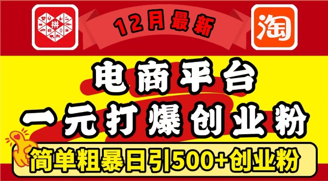 12月最新：电商平台1元打爆创业粉，简单粗暴日引500+精准创业粉，轻松月入过W【揭秘】-小何资源库