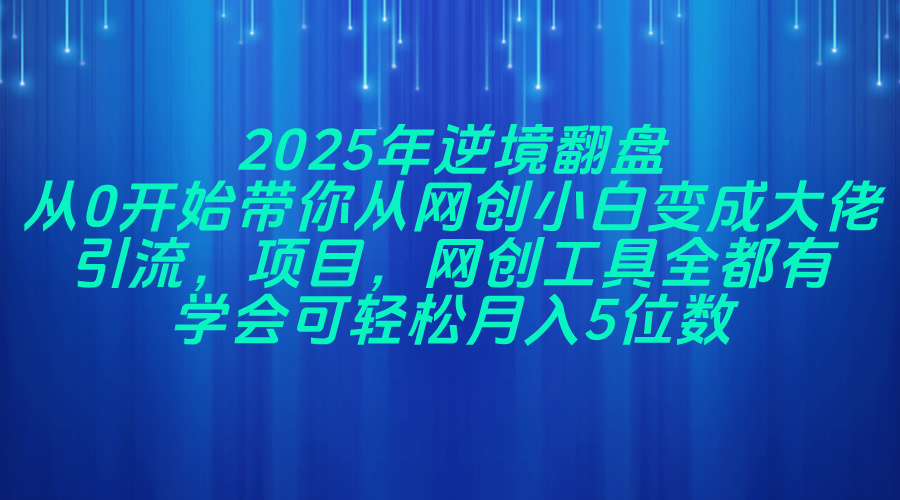 （14473期）2025年逆境翻盘，从0开始带你从网创小白变成大佬，引流，项目，网创工…-小何资源库