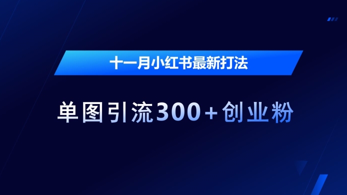 十一月小红书最新打法，单图引流300+创业粉【揭秘】-小何资源库