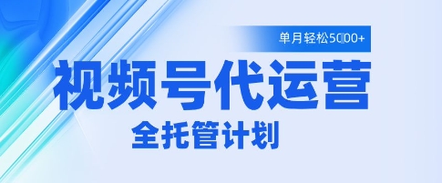 视频号代运营2.0，全程托管招募，单月轻松变现5k【揭秘】-小何资源库