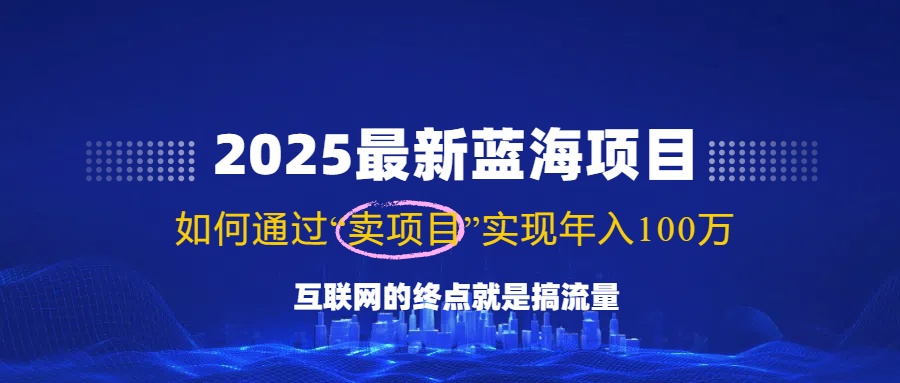 （14305期）2025最新蓝海项目，零门槛轻松复制，月入10万+，新手也能操作！-小何资源库