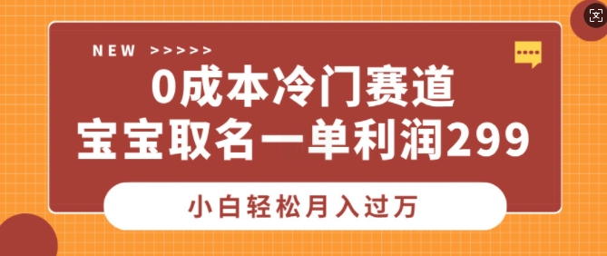 0成本冷门赛道，宝宝取名一单利润299，小白轻松月入过万-小何资源库