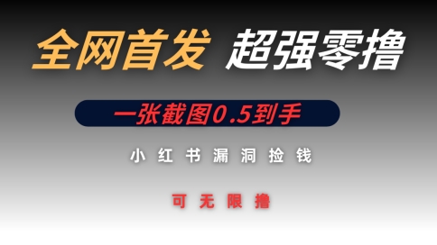全网首发无限零撸捡钱项目，小红书一张截图0.5元可无限零撸-小何资源库