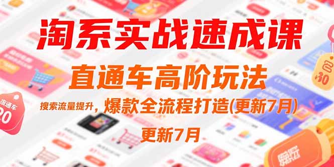 （15374期）淘系实战速成课，直通车高阶玩法，搜索流量提升，爆款全流程打造(更新7月)-小何资源库