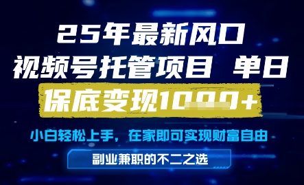 25年最新风口，视频号托管项目，单日保底变现1k+，手把手教学【揭秘】-小何资源库