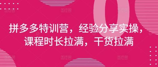 拼多多特训营，经验分享实操，课程时长拉满，干货拉满(更新25年4月)-小何资源库
