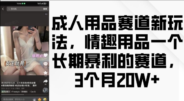 成人用品赛道新玩法，情趣用品一个长期暴利的赛道，3个月收益20个【揭秘】-小何资源库
