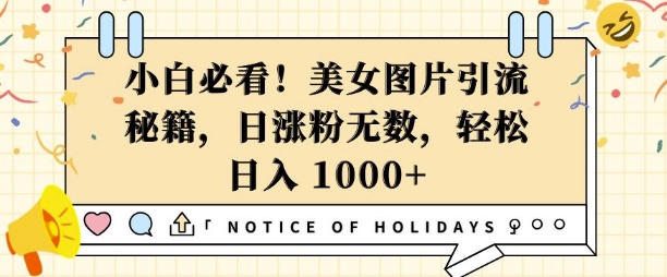 小白必看，美女图片引流秘籍，日涨粉无数，轻松日入几张【揭秘】-小何资源库