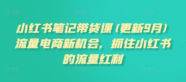 小红书笔记带货课(更新11月)流量电商新机会，抓住小红书的流量红利-小何资源库