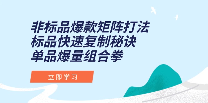 （15068期）非标品爆款矩阵打法，标品快速复制秘诀，单品爆量组合拳-小何资源库