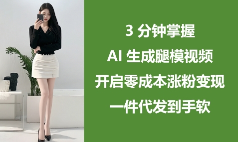 3分钟掌握AI生成腿模视频，开启零成本涨粉变现，一件代发到手软-小何资源库