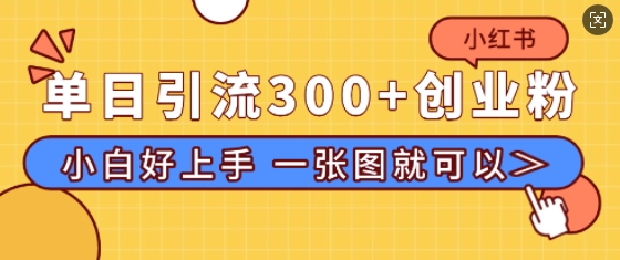 小红书单日引流300+创业粉，“简单粗暴”引流法，小白好上手，私信回不完-小何资源库