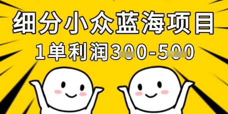细分小众蓝海项目，一单利润3张，每月收入稳定过1w+-小何资源库