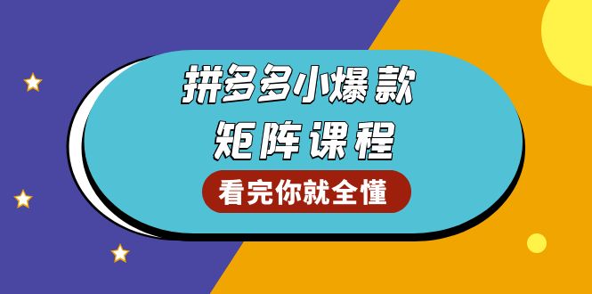 （13699期）拼多多爆款矩阵课程：教你测出店铺爆款，优化销量，提升GMV，打造爆款群-小何资源库