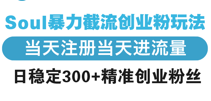 （13935期）Soul暴力截流创业粉玩法，当天注册当天进流量，日稳定300+精准创业粉丝-小何资源库