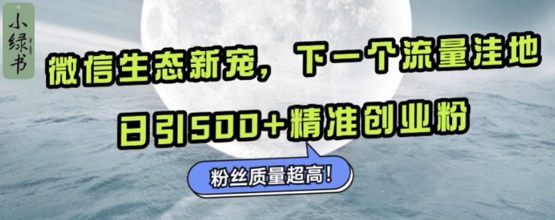 微信生态新宠小绿书：下一个流量洼地，日引500+精准创业粉，粉丝质量超高-小何资源库