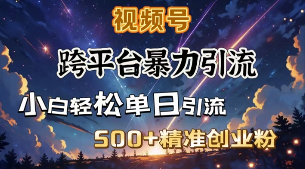 跨平台暴力引流，私域完美闭环，日引500+精准创业粉-小何资源库