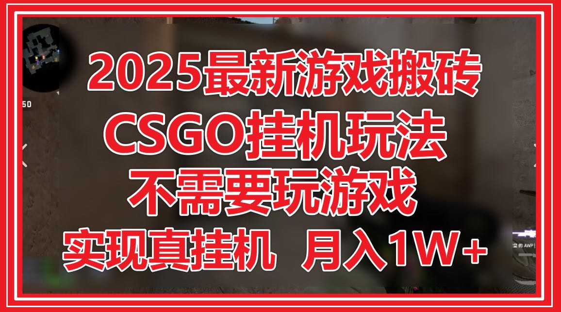 （14743期）2025最新游戏搬砖，CSGO挂机，不需要玩游戏，实现真挂机，月入1W+-小何资源库