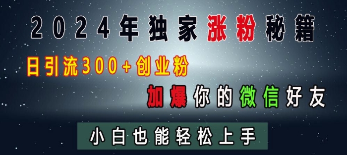 2024年独家涨粉秘籍，日引流300+创业粉，加爆你的微信好友，小白也能轻松上手-小何资源库