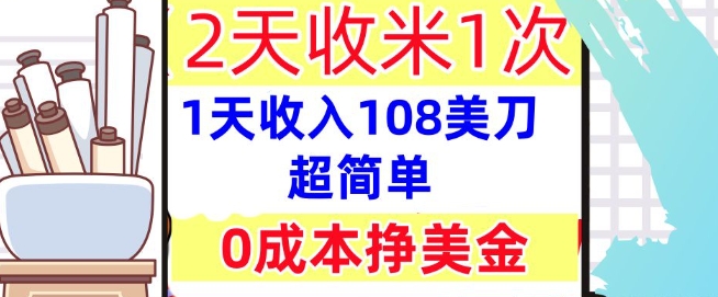0成本挣美金，超简单，1天收入108刀，2天收米一次，实战教程，首次公开-小何资源库