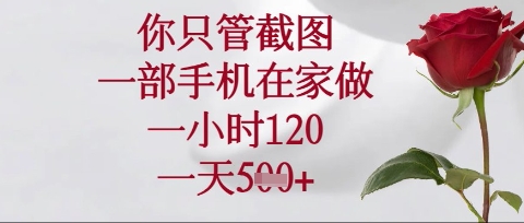 你只管截图，一部手机在家操作，一小时120.一天5张【揭秘】-小何资源库
