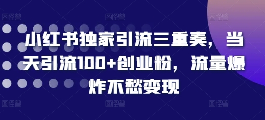 小红书独家引流三重奏，当天引流100+创业粉，流量爆炸不愁变现【揭秘】-小何资源库
