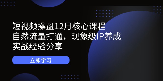 （14447期）短视频操盘12月核心课程：自然流量打通，现象级IP养成，实战经验分享-小何资源库