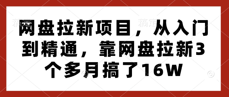 网盘拉新项目，从入门到精通，靠网盘拉新3个多月搞了16W-小何资源库