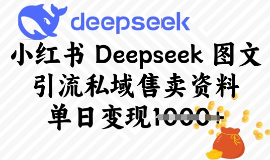 小红书Deepseek 图文引流私域售卖资料，单日变现多张-小何资源库