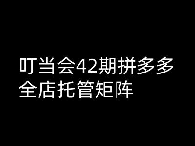 叮当会拼多多打爆班原创高阶技术第42期，拼多多全店托管矩阵-小何资源库
