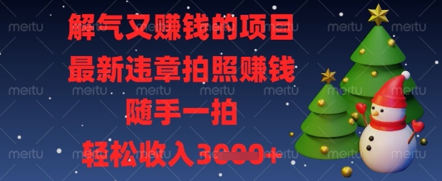 解气又挣钱的项目，最新违章拍照挣钱，随手一拍，轻松收入数张【揭秘】-小何资源库