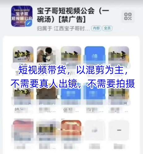 宝子哥头部团队短视频带货，以混剪为主，不需要真人出镜，不需要拍摄-小何资源库