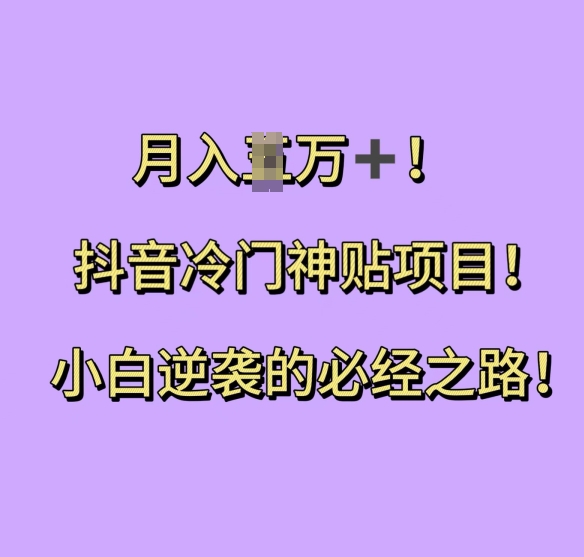 抖音冷门神贴项目，小白逆袭的必经之路，月入过W【揭秘】-小何资源库