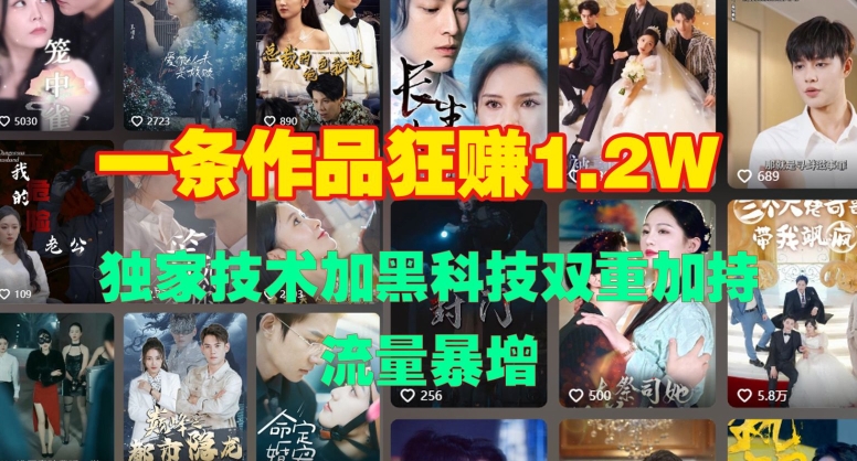 一条作品收益1.2w，独家技术加黑科技双重加持，流量暴增-小何资源库