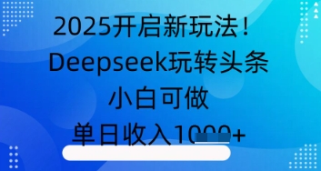 2025开启新玩法！Deepseek玩转头条，小白可做，单日收入几张-小何资源库